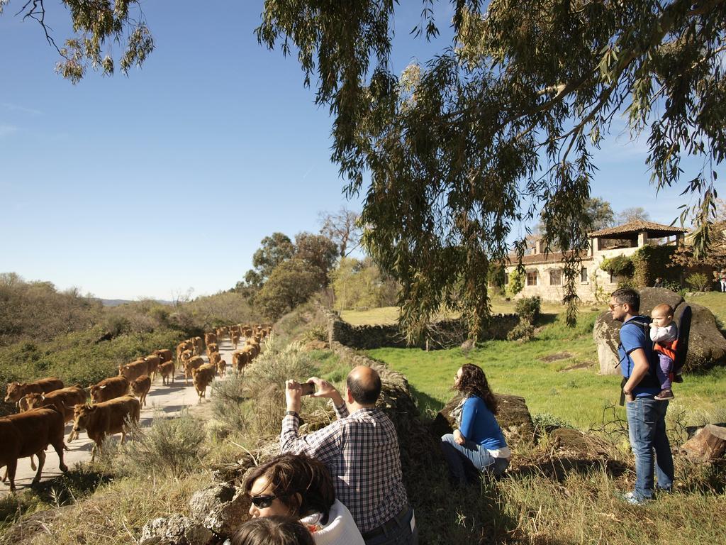 Casa Rural El Cabezo San Martín de Trevejo Exterior foto